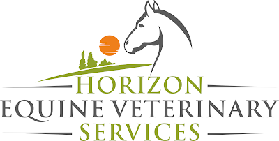 Horizon Equine Veterinary Services