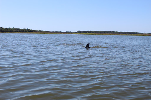 Coastal Backwater Adventures - Thumbnail