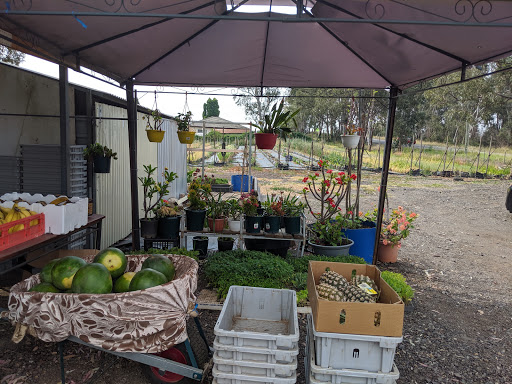 Heng Fresh Farm