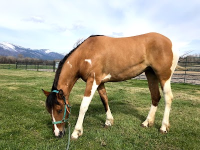 Skalkaho Stables