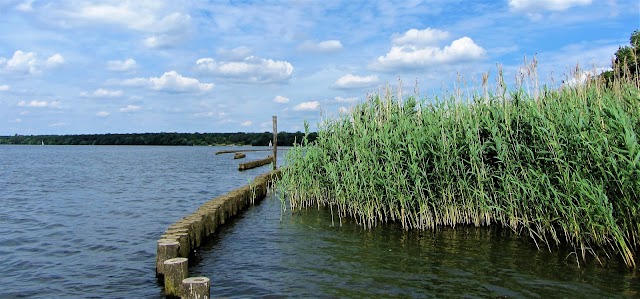 Müggelsee Mole