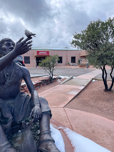 Northern Arizona Healthcare - Sedona Emergency Department - Thumbnail