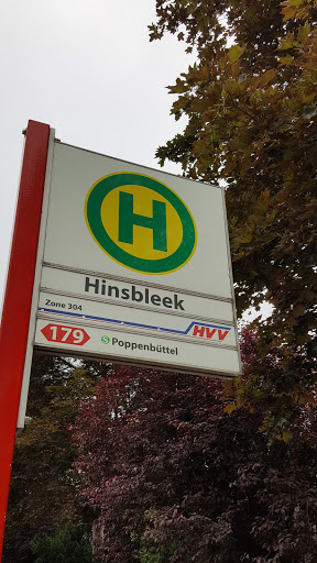 Hinsbleek - Visual