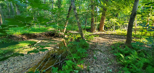 Ruth B. Swann Memorial Park - Thumbnail