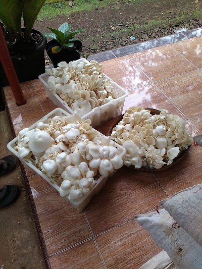 Photos of Resto Dapur Kampung Daun