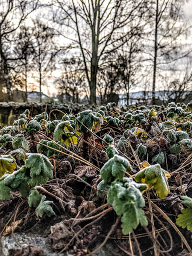 Sitzhalbkreis am Sonnensee - Thumbnail