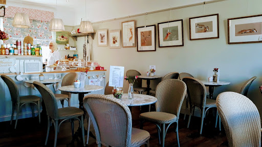 Lovely Libby's - Visual