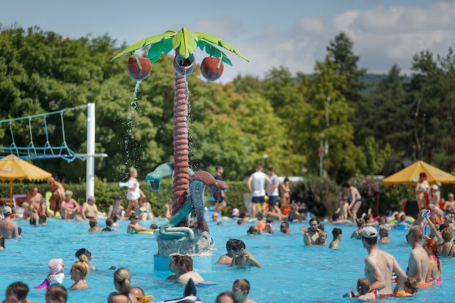 Vadas Thermal Sturovo Resort