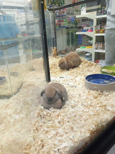 Inland Reef Pet Store - Thumbnail