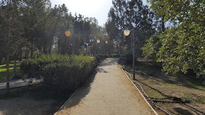 Photos of &Pi;&alpha;&iota;&delta;&iota;&kappa;ό &Pi;ά&rho;&kappa;&omicron; &Alpha;&gamma;ί&omega;&nu; &Omicron;&mu;&omicron;&lambda;&omicron;&gamma;&eta;&tau;ώ&nu;