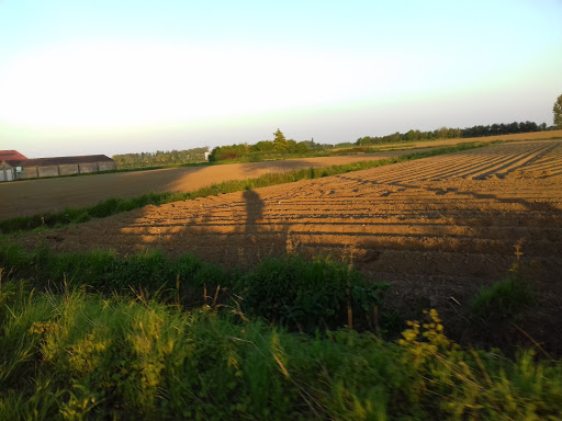 Dekra France Wambrechies