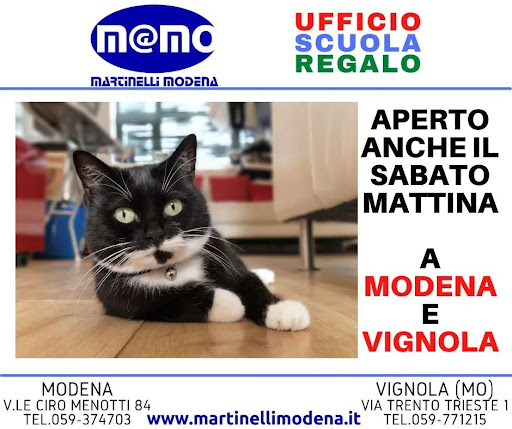 Martinelli Modena Srl Logo
