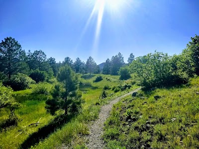 Edward Sargeant Wildlife Management Area