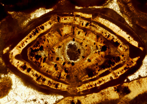 Exeter Science Centre - Thumbnail