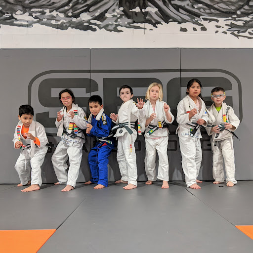 Straight Blast Gym Scarborough/ Brazilian Jiu-Jitsu, Muay Thai & MMA - Thumbnail