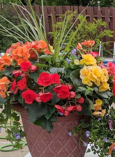 Frattallone's Hardware & Garden - Thumbnail