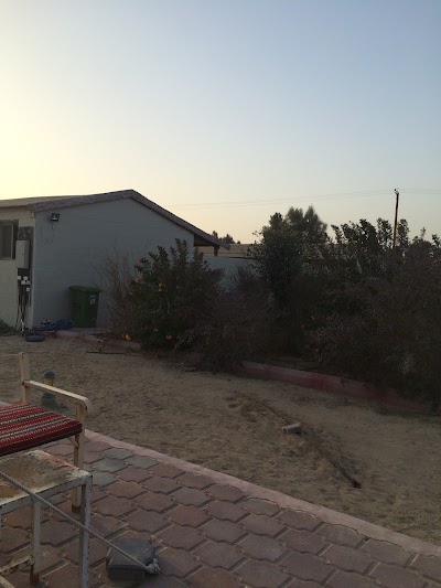 Photos of Farm Barak Nasser Noon