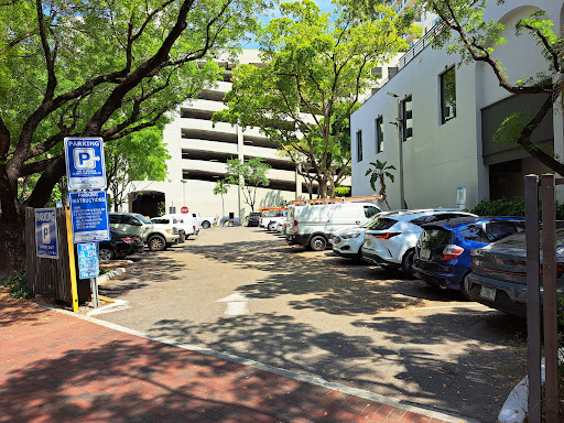 Parking Meter - Visual