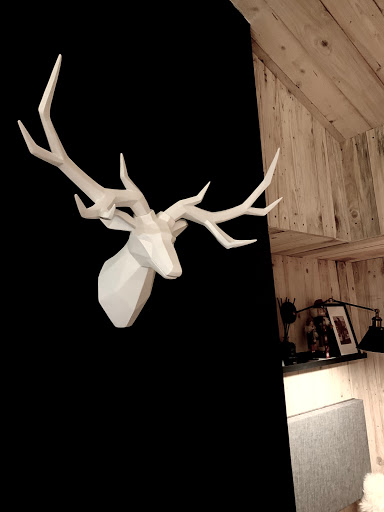 Z Chalet - Visual