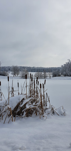 Großer Teich - Visual