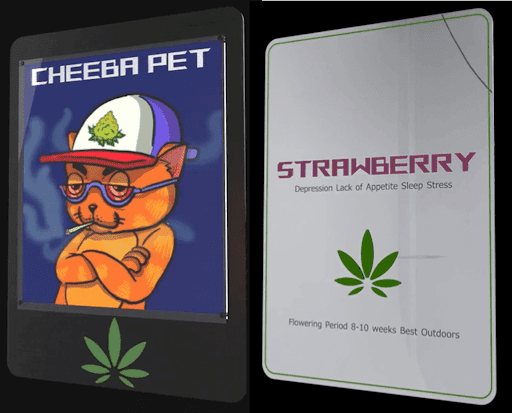 CheebaPet - Visual