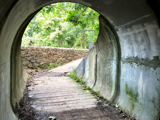 Cooper Mill County Park Gallery - United States