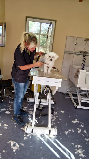 Haus der Hunde, Gabi Lames - Thumbnail