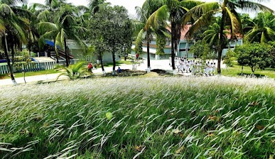 Photos of Bangladesh Marine Academy