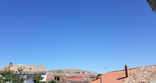 Pandreula - Spain
