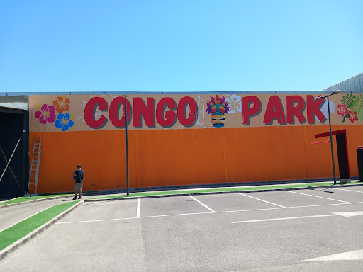 Congo Park - Visual