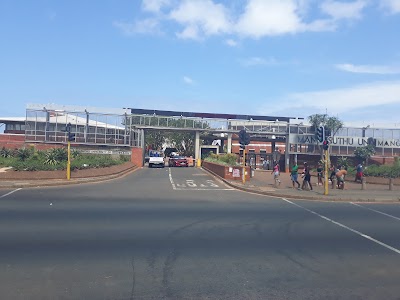 university
