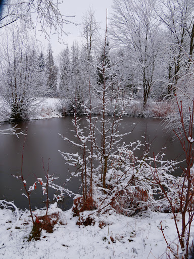 Tümpel von Bergham - Thumbnail