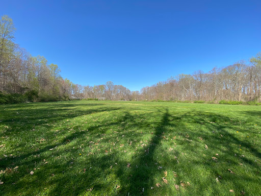 Red Bush Field - Thumbnail