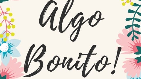 Algo Bonito Shop 2018 Logo