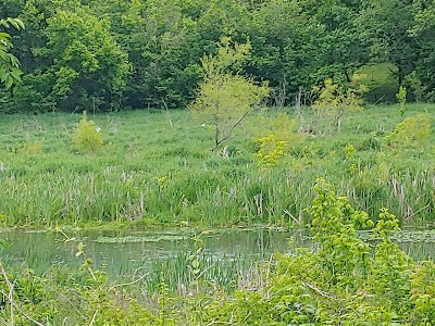 Mossy Creek Wildlife Viewing Area