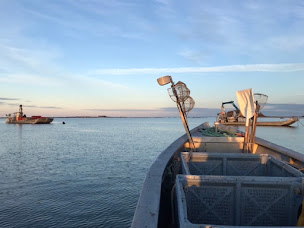 Photo n°19 de ETS BERNARD - BERBRAZH à Pénestin (Élevage de fruits de mer)