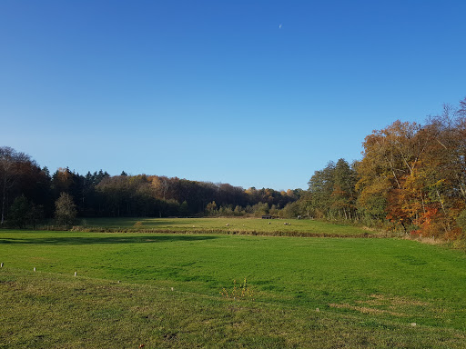 Infotafel Renaturierung Ehmen - Thumbnail