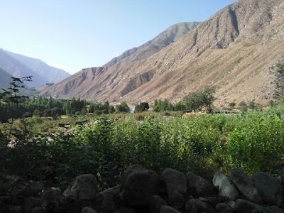 Photos of Safar Ali Garden باغ صفرعلي باي
