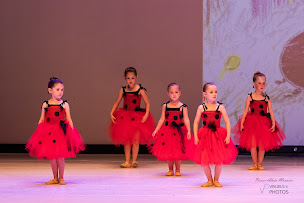 Photo n°3 de Le Petit Opéra de l'Isle à Frontonas (Salle de danse)