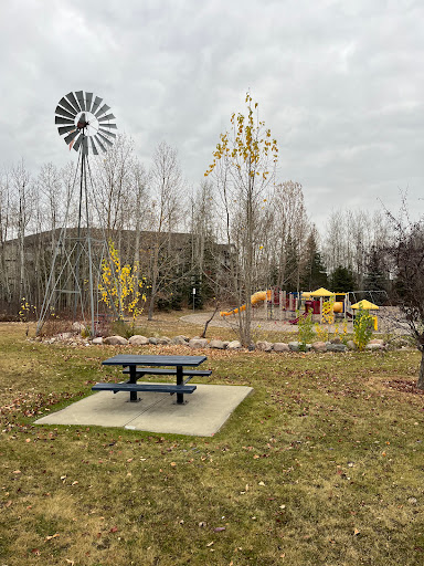 Wild Adventurez Playground - Thumbnail