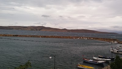 Photos of Paşalimanı