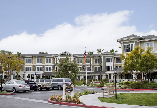 Ivy Park at Seal Beach