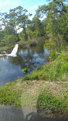 The Preserve at Kitty Hawk Woods long-term (only) RV park Gallery - United States