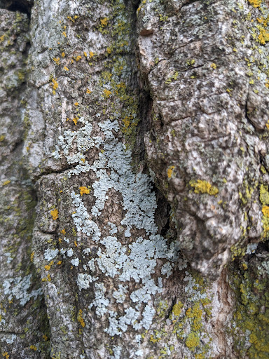 Twin Ridge II Park - Thumbnail