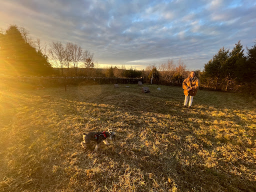 Whispering Springs Farm Cemetery Gallery - United States