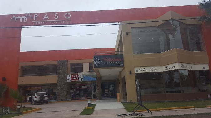 Centro Comercial Paso, Author: Raul Militello