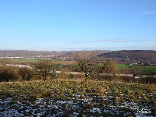 Bromberg-Rosengarten
