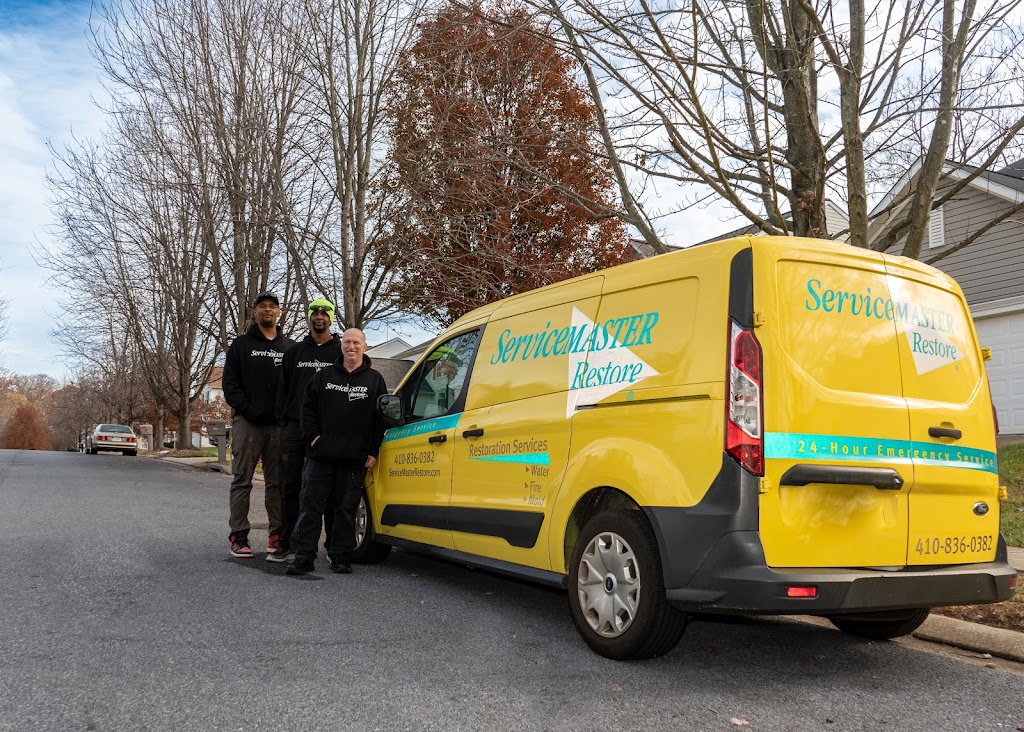 ServiceMaster by Elevate - Baltimore & Surrounding Areas photo