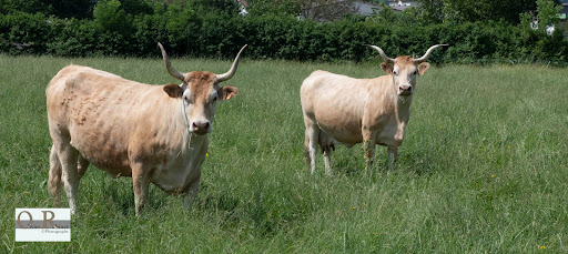 Photo 1 - Ferme Sahouret