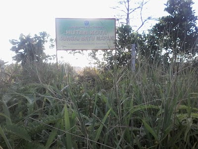 photo of Hutan Kota Sungai Batu Mapan